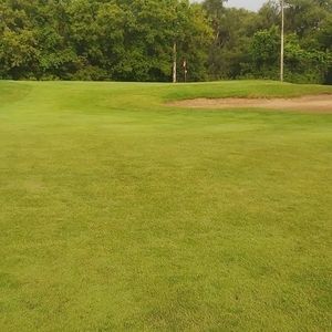 Meet your Posher, Ellison